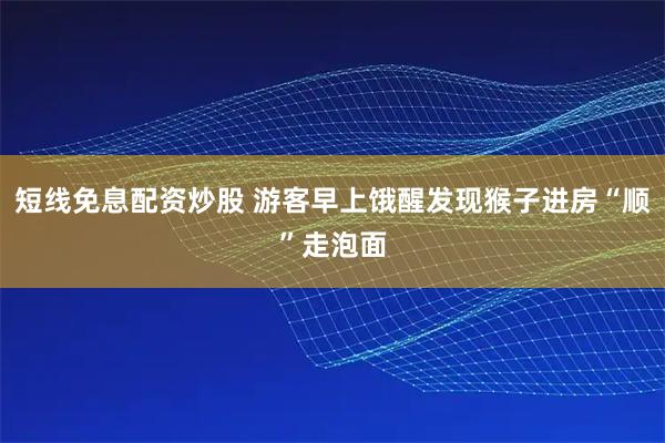 短线免息配资炒股 游客早上饿醒发现猴子进房“顺”走泡面