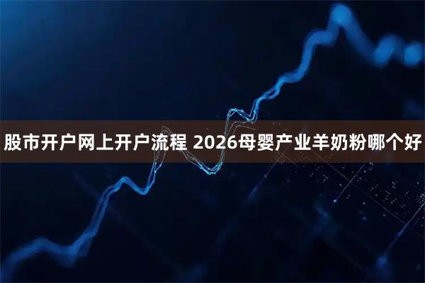 股市开户网上开户流程 2026母婴产业羊奶粉哪个好