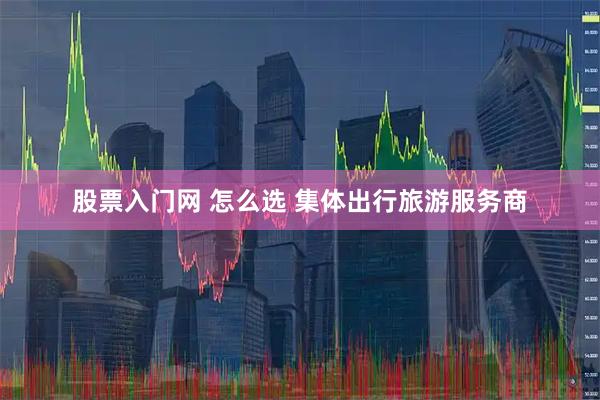 股票入门网 怎么选 集体出行旅游服务商